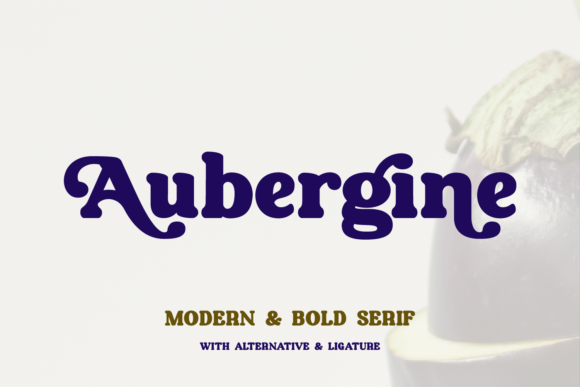 Aubergine Serif Font for Campaign Creatives