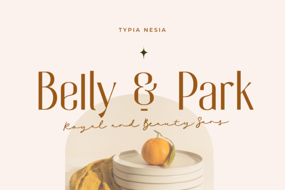 Belly and Park – A Versatile Sans Serif Font for Web Design