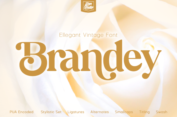 Brandey: A Vintage Serif Font for Creative Branding