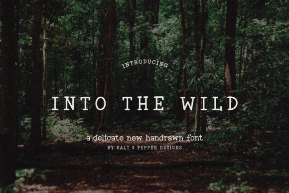 Into the Wild: A Font That Transformed My Brand’s Look
