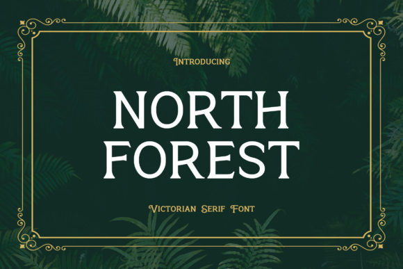 North Forest: A Serif Font That Elevates Brand Identity