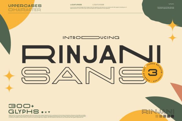 Rinjani Sans for Professional Branding
