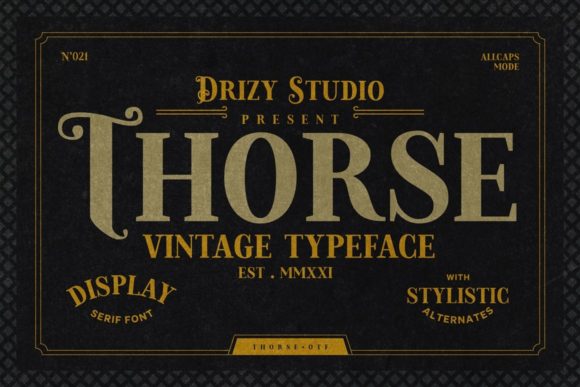Thorse: A Bold Serif Font for Editorial Design